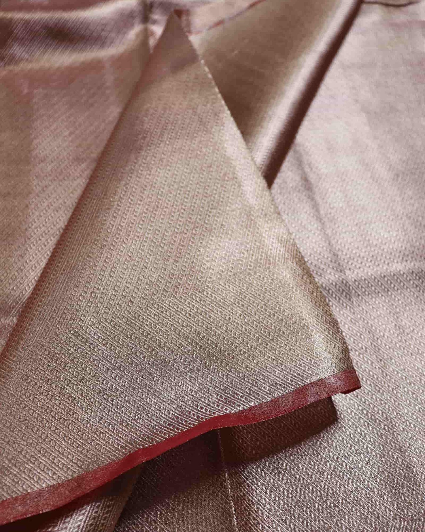 Rust Tissue Silk Banarasi Saree