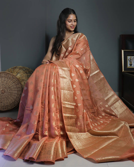 Nude Brown Pure Chanderi Silk Banarasi Saree