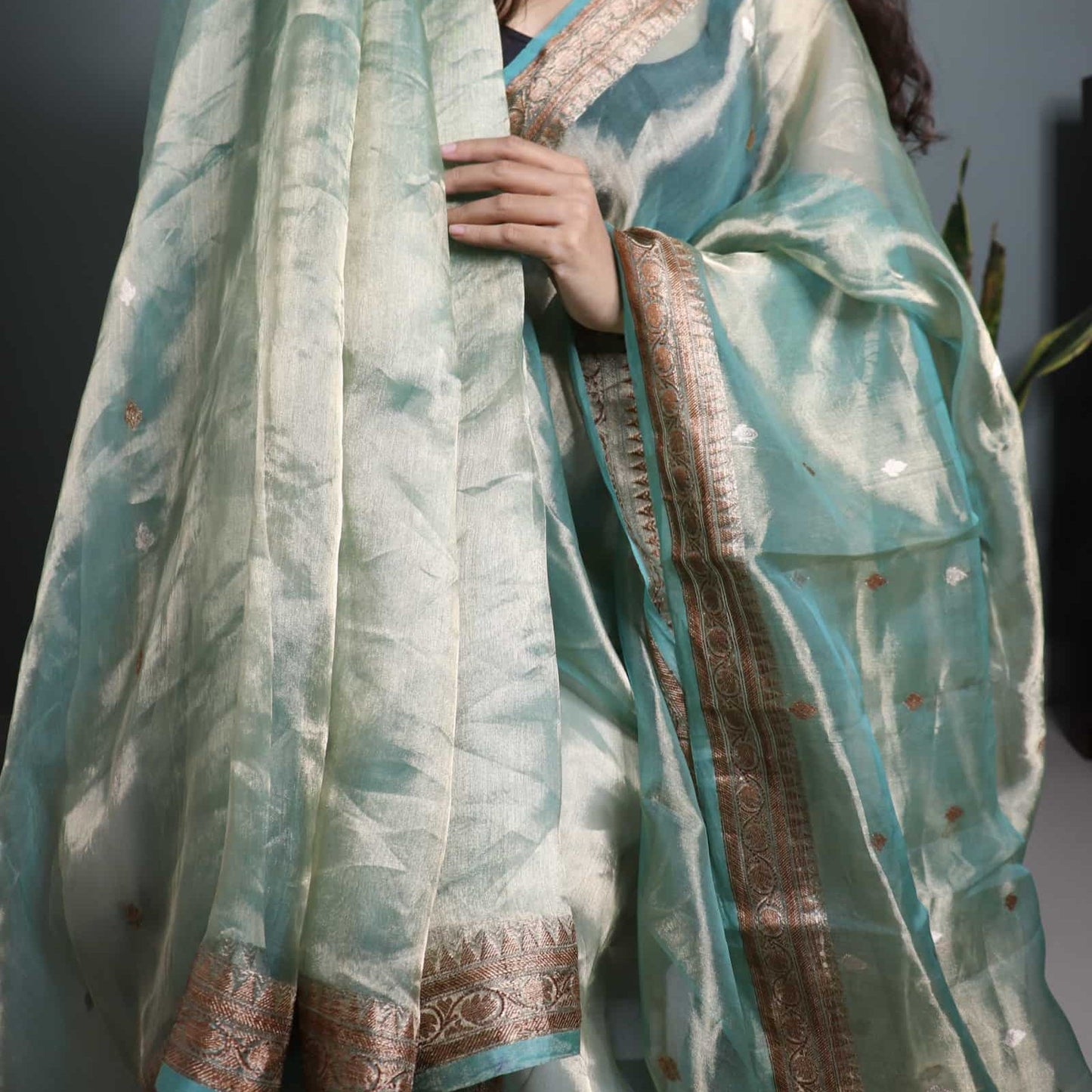 Pastel Green Pure Tissue Saree